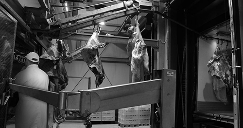 Utovar svježeg mesa na kukama