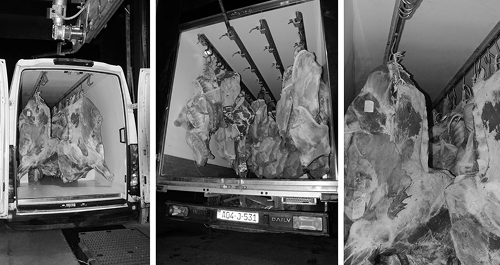 Transport svježeg mesa na kukama